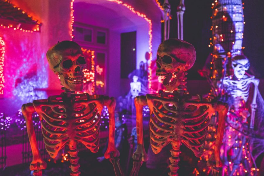 Halloween skeleton decorations in neon lights