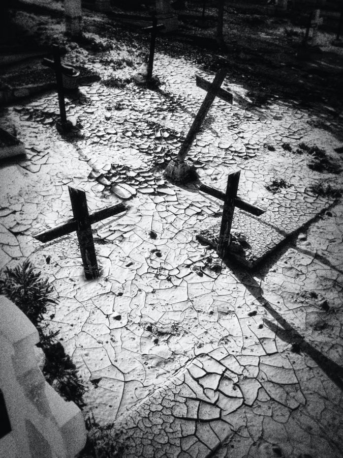 Black and white photo of headstones in a graveyard.