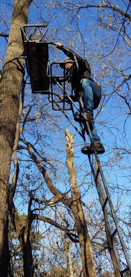 Hunter climbing into their tree stand on a nice day in the fall.