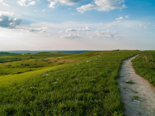 Minnesota Prairies Are in Danger—But There Is Still Time to Act