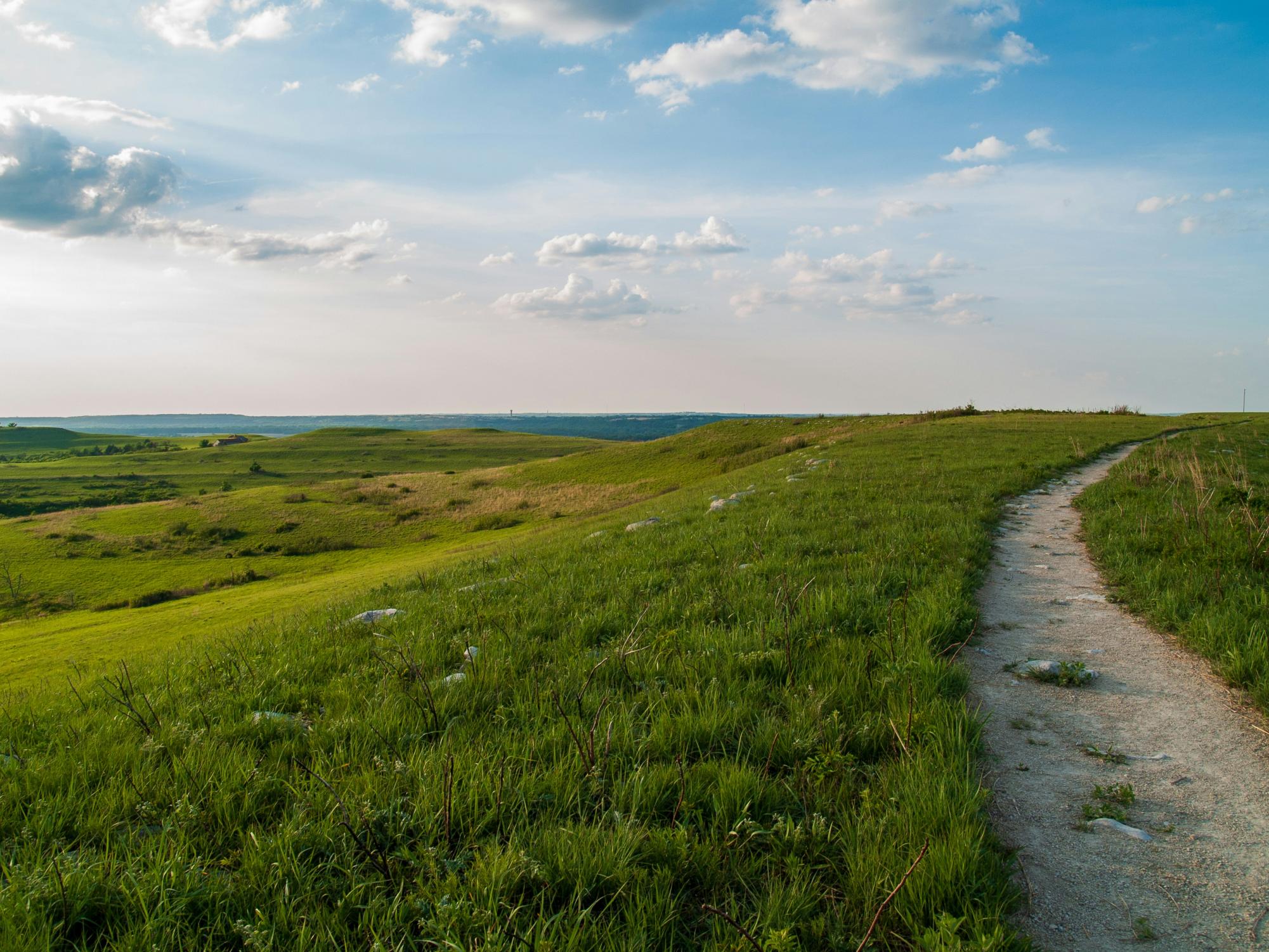 Minnesota Prairies Are in Danger—But There Is Still Time to Act